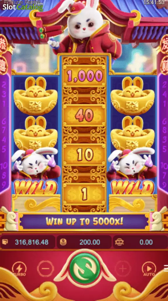 Fortune Rabbit — Big Win