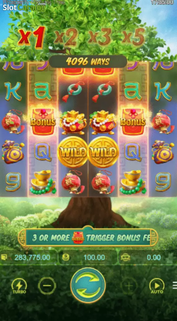Prosperity Fortune Tree — Big Win